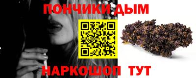 гашик Кудрово