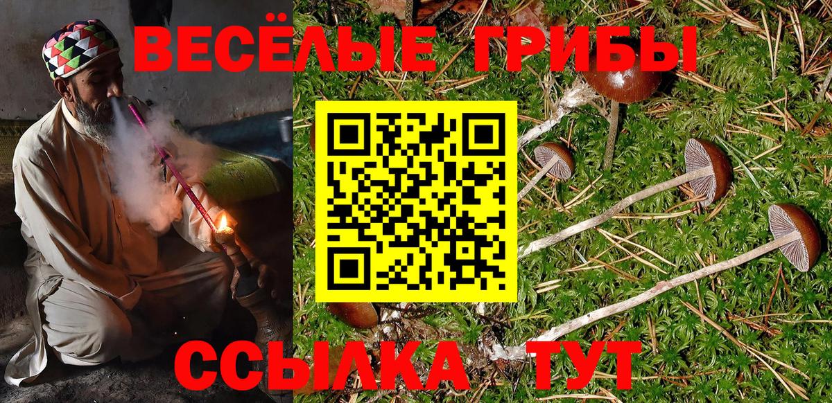 Галлюциногенные грибы мухоморы Верхняя Пышма